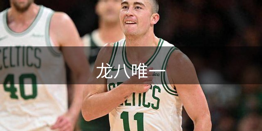 公司布局